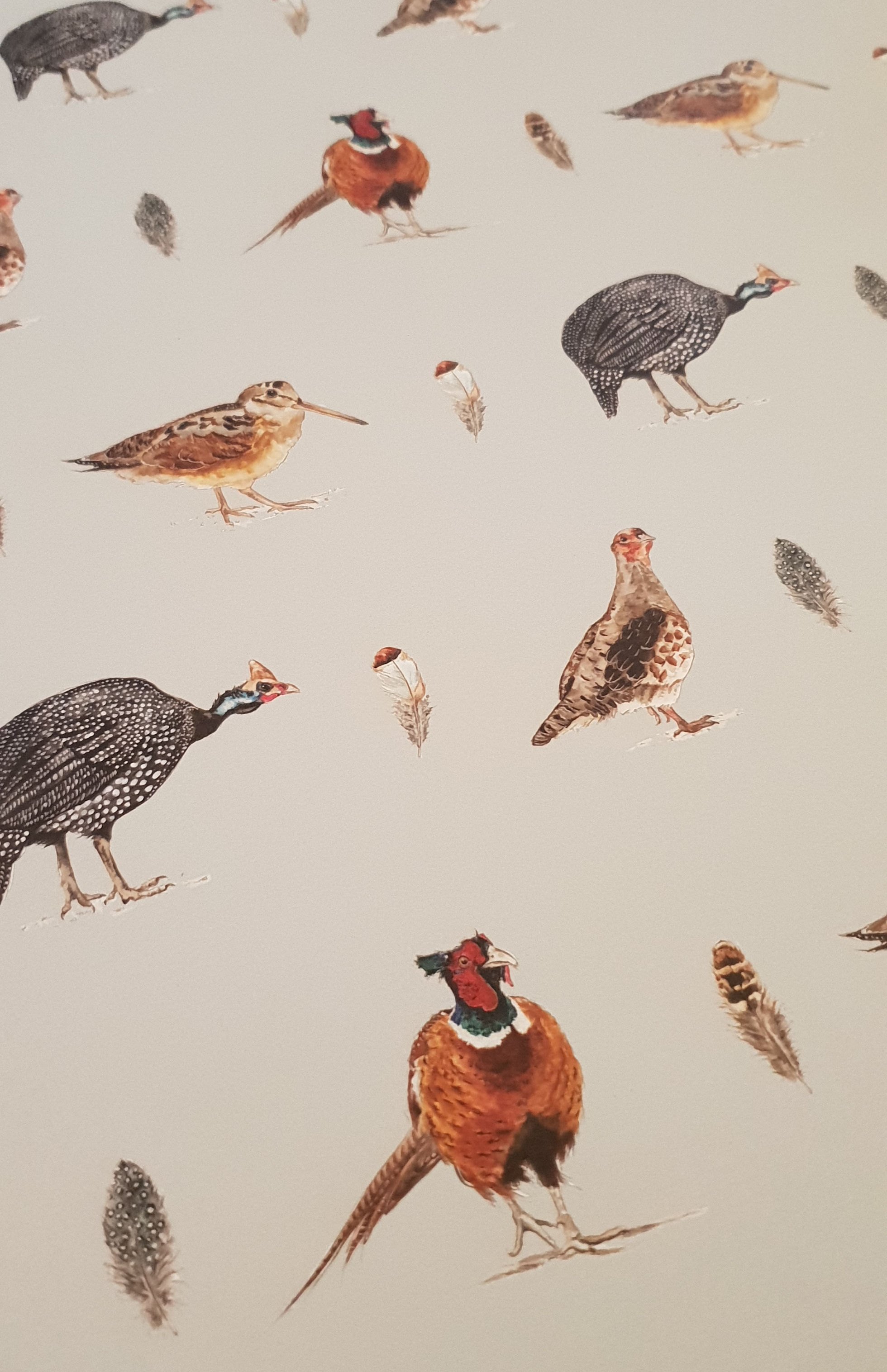 Game Birds Wrapping Paper with Tag