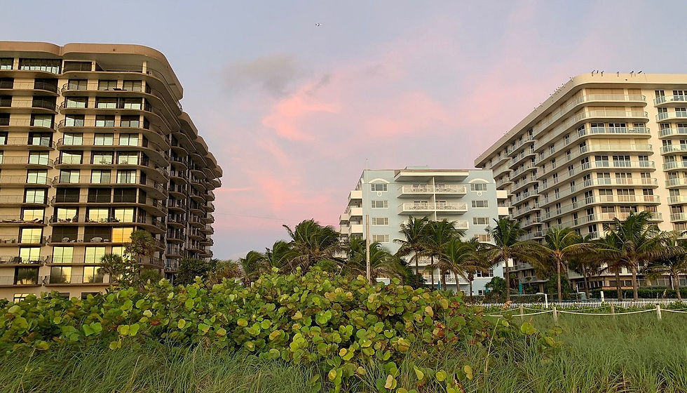 Thumbnail: Solara Surfside