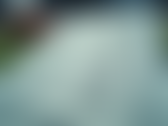 Ultimate Fantasy Sports Strategy Guide: Top Fantasy League Tips for Success