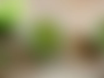 Enhance Your Immunity Naturally with Our Immunity Boost