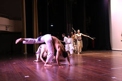ABERTURA (16)