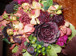 chocolate artichoke, chocolate cosmo, fiddleheads.jpg
