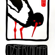 Schwarz roter Austernfischer in schwarzem Rahmen und BildgebendenTitel darunter