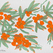 grüner Sanddornzweig mit orangen Früchten