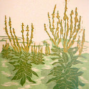 Holzschnitt zeigt gelbblühende Königskerze vor Dünenhintergrund