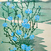 Holzschnitt zeigt blaublühende Wegwarte vor Wiesenhintergrund