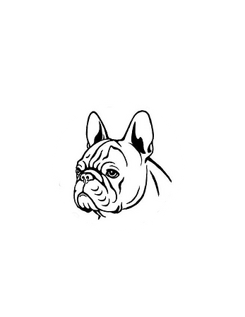 pup3.png