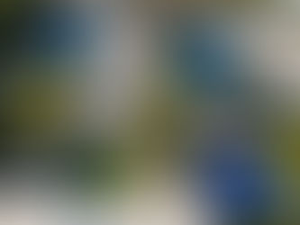 The Halcyon Residences & Marina Introduces a Sophisticated, Playful Vision of Waterfront Living in Naples