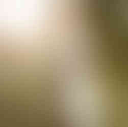 Groom lifting bride during joyful summer wedding portraits