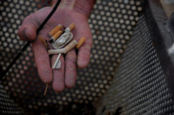 177333_493715167335779_900169997_o