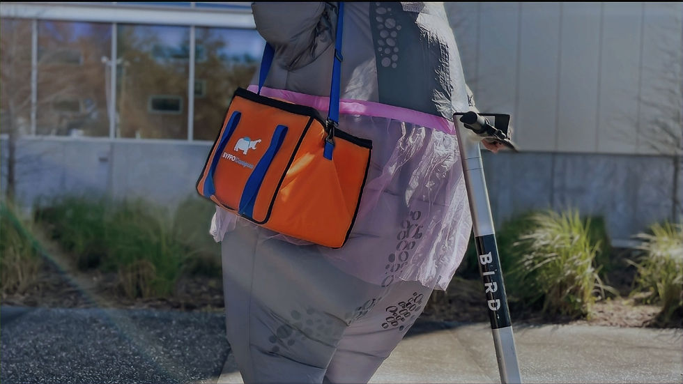 BYPPOCAMPUS Hiro the Hippo