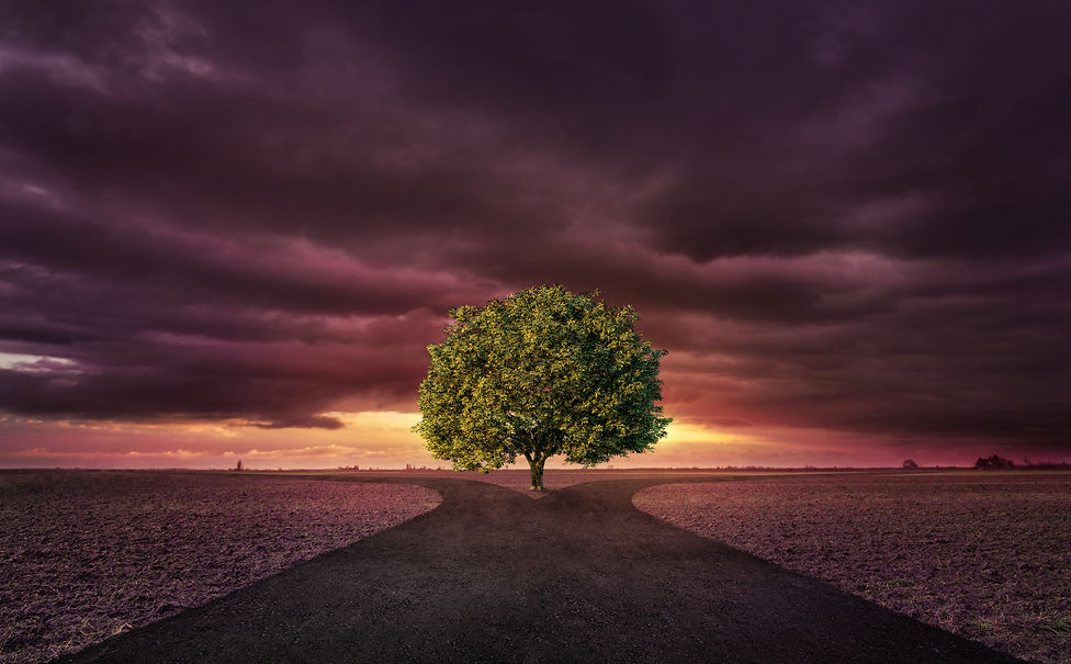 AdobeStock_193288995.jpeg