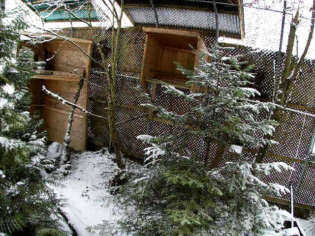 View from 9-Plex P4 Aviary Cam