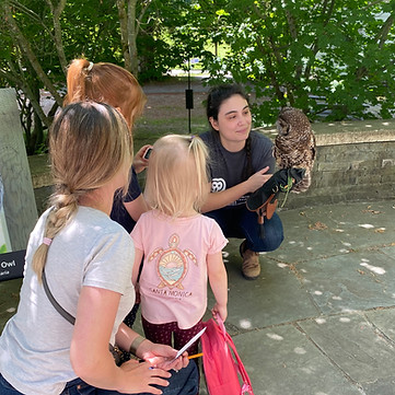 Staff member and Small Eyes, the glove trained owl, with kids.