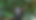 no regrats header (1).png