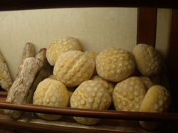 Tartarughe