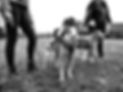 Cain9Photography24_edited.jpg