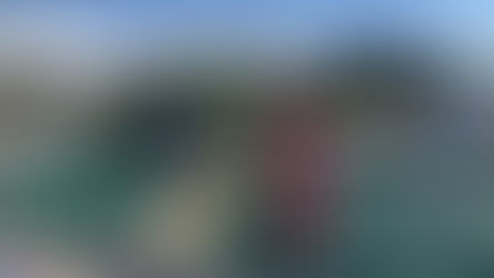 Weekly Update November 16th