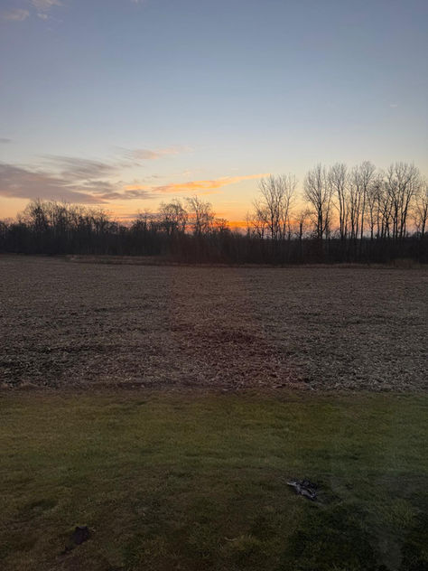 Weekly Update November 23rd