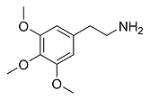 Mesceline (Peyote).png