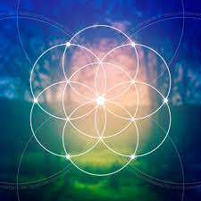 The consciousness matrix