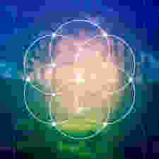 The consciousness matrix