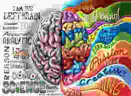 Left Brain - Right Brain