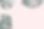 monstera-green-leaves-pink.png