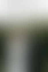 Bride and groom holding hands during a rainy outdoor wedding ceremony in a garden setting, photographed by a New Zealand wedding photographer