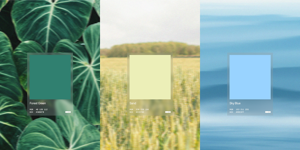 Frame 1948758338.png