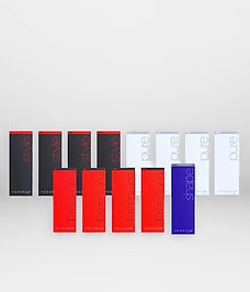 THE CHAEUM Premium.jpeg