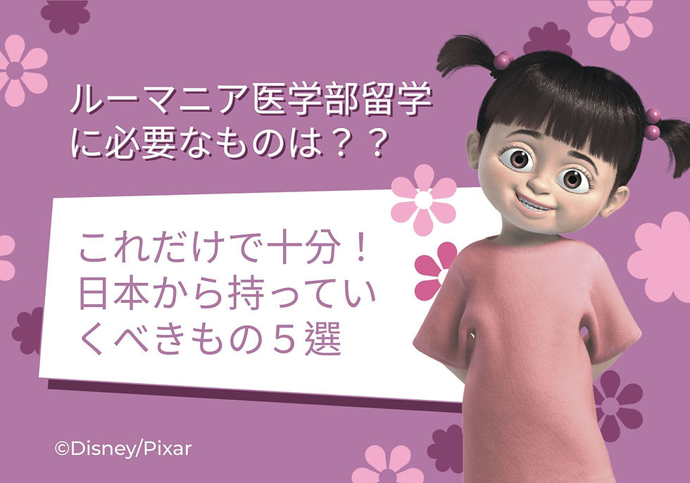 ルーマニア医学部留学！リュック一つで十分！？持っていくべきもの５選！
