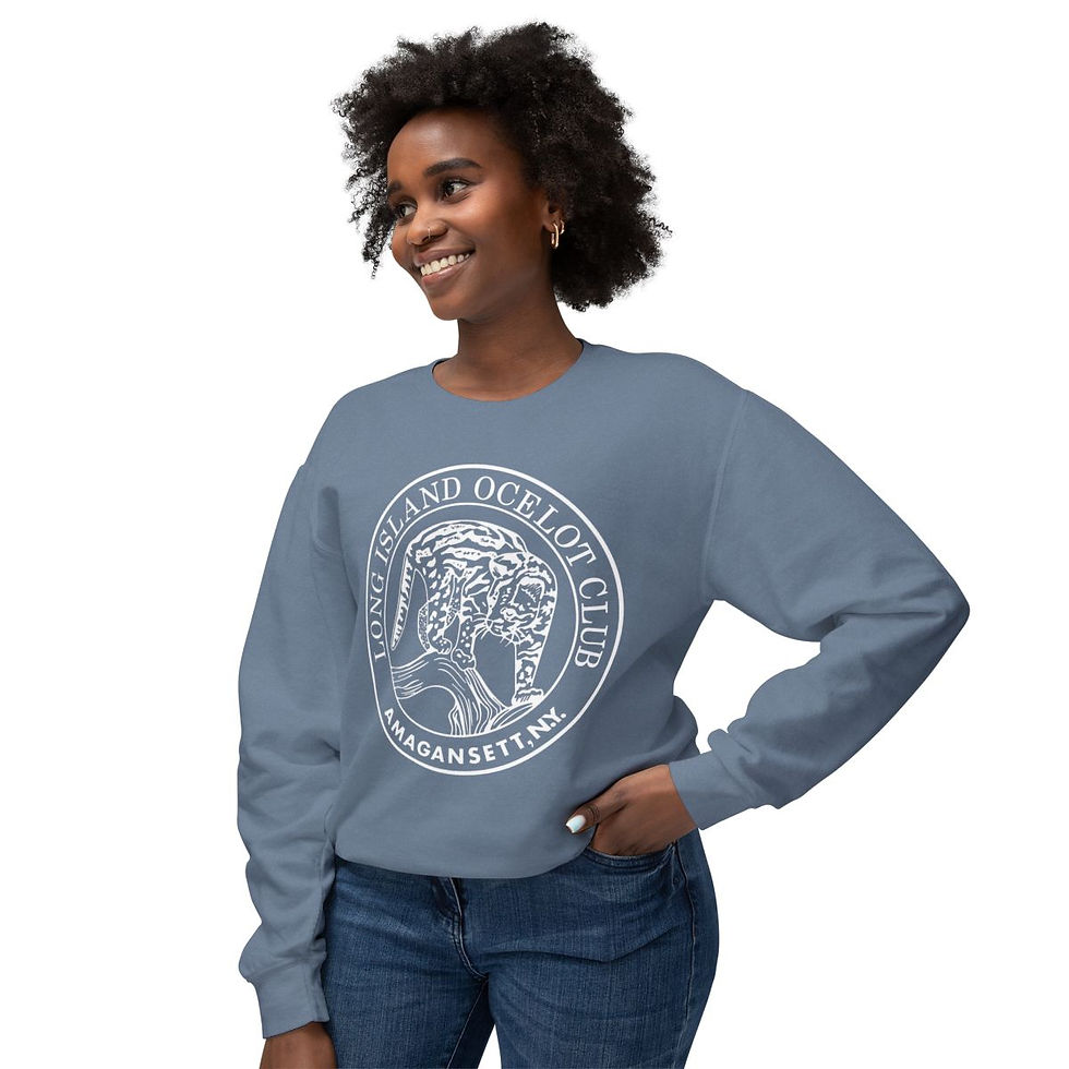 Thumbnail: LIOC Unisex Lightweight Crewneck Sweatshirt