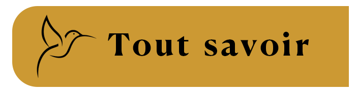 tout savoir.png