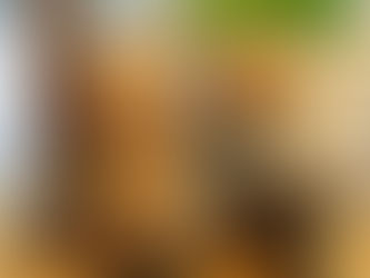 A destination des personnes de plus de 60 ans