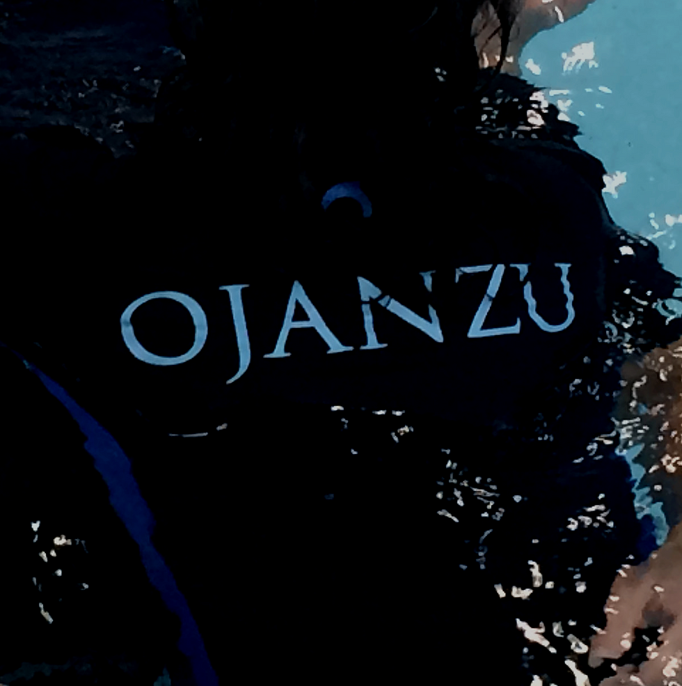 JANZU II