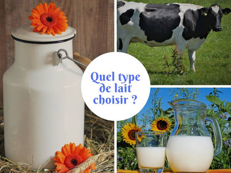 « Arrêt sur… » le lait de vache