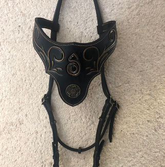 bridon-spectacle-cuir-cheval