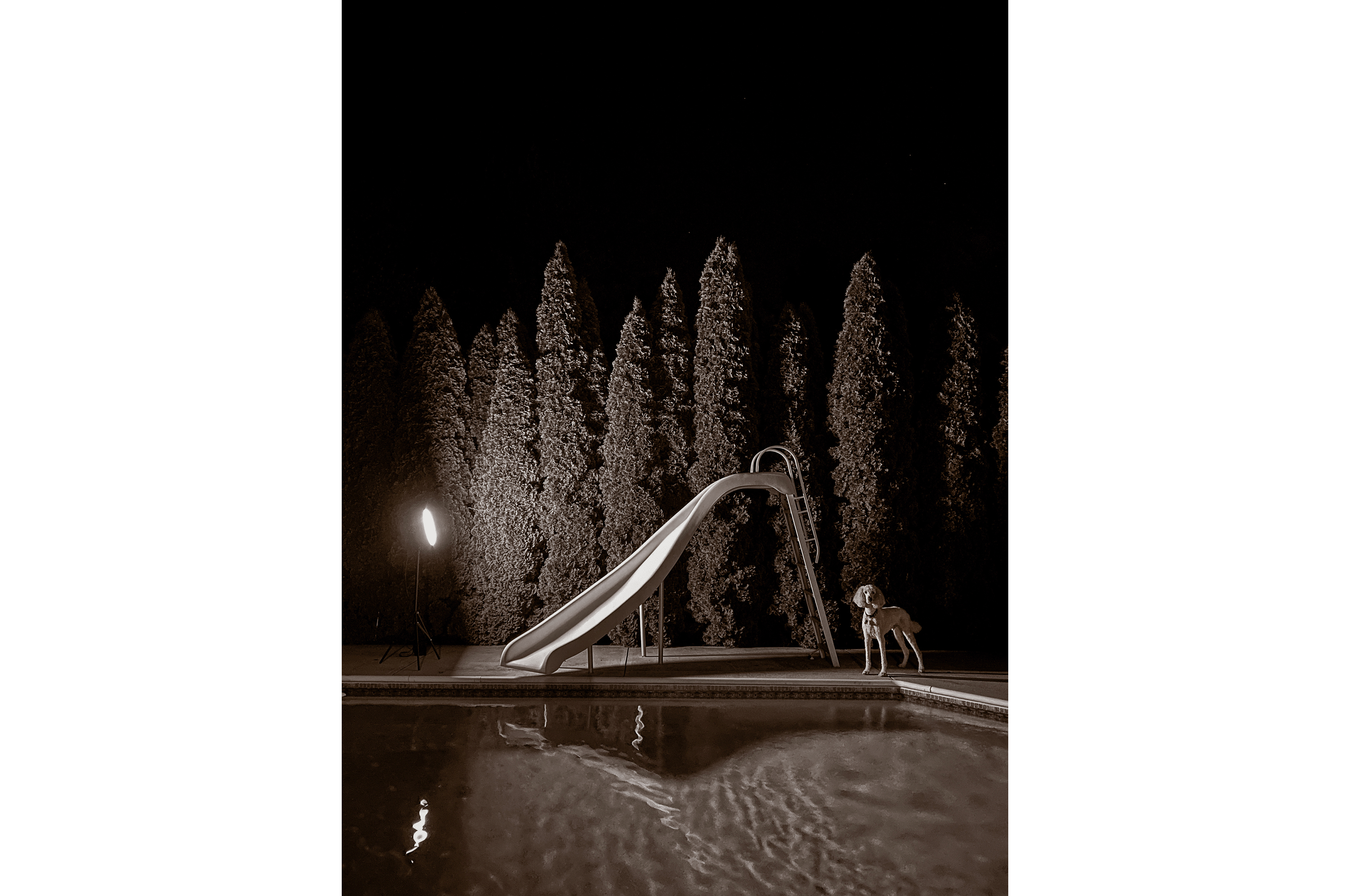 Summer evening.gif