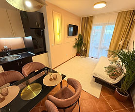 1 Bd Apartment in Petrovac