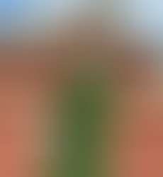 Burglars Smash Glass Door in Break-In at Tracee Ellis Ross’ Los Angeles Home