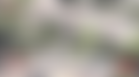 Homeowner Shoots Attempted Burglar in Valley Village, LAPD Reports