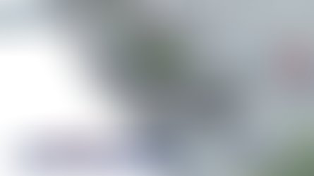 Hollywood Shooting Incident Leaves Woman Wounded  