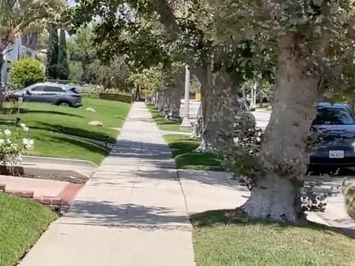 Burglary Crew Hits Home in Upscale Los Angeles Neighborhood