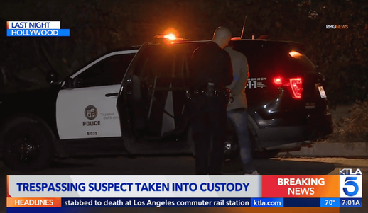 Man Arrested for Trespassing at Los Angeles Home Reportedly Linked to Actress Nia Long