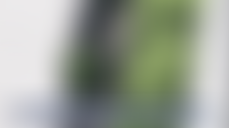 Valley Glen Resident Shoots Intruder During Home Invasion