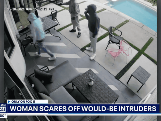 Heroic Homeowner Scares Off Intruders in Hollywood Incident