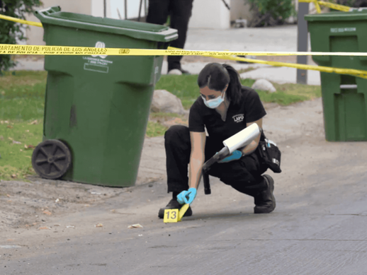 Two Chilling Heists Hit Same Street in Woodland Hills on the Same Night