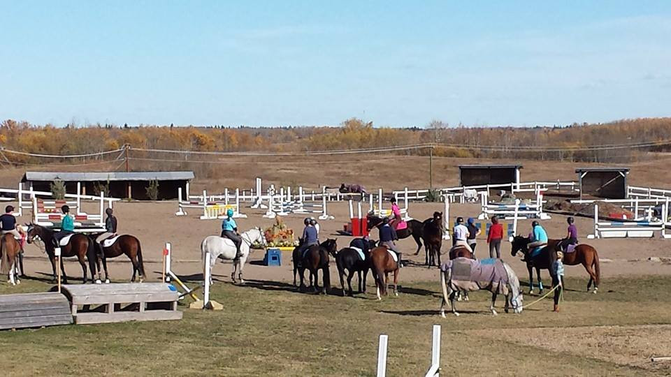English Equestrian Riding Sandridge Stables High Performance Coach