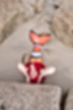 logo paradissirene 2019.png